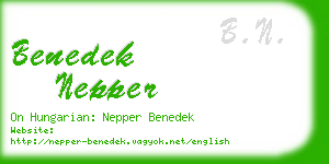 benedek nepper business card